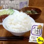 お米 5kg 送料無料 米物語 岩船産コシヒカリ 旧朝日村 新潟米 ギフト 内祝い 令和6年産
