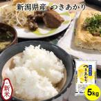 お米 5kg 送料無料 新潟