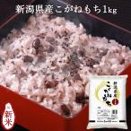 もち米 餅米 1kg 28年産 新潟 新潟産こがねもち 条件付送料無料/新潟産こがねもち精米1kg
