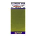 TF5 ゴールドミラーフィニッシュ 新品  ハセガワ