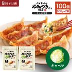 ショッピング餃子 餃子計画 いちど食べたらやみつきになるキャベツ餃子 850g * 2袋セット 冷凍餃子 冷凍食品 ぎょうざ