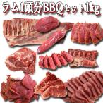 北海道 羊肉 ジンギスカン  ラム肉 