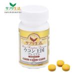  supplement жизнь куркума королевство premium 90 шарик - Efini Project [ осень куркума / весна куркума ]