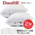 Danfill　ダンフィル　ピローミー　65cm×45cm　JPA013　2個セット　専用カバーAKF17　2枚プレゼント付き　 - ダンフィル 送料無料