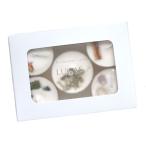  LUKA sLUCAS.. для mini свеча 5 вида комплект -a-si -тактный 