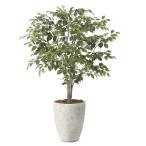 光触媒技術で快適空間を作るナチュラルフィカスツリー150cm