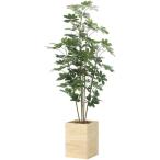 光触媒搭載の大型人工観葉植物2639A570を客観レビュー