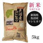 魚沼産コシヒカリ 5kg -