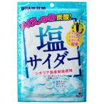 塩サイダー　６６ｇ　熱中症対策　熱中症予防　