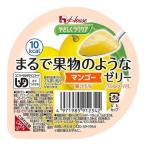 やさしくラクケア　まるで果実のようなゼリー　マンゴー　６０ｇ