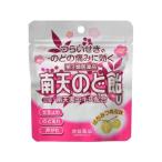 【第3類医薬品】南天のど飴　はちみつ梅風味　22錠【セルフメディケーション税制対象商品】