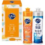 2025 год зимний .. было использовано Kao kyukyuto комплект (K*CS-05)05