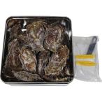  бесплатная доставка . дом для Hiroshima префектура . индустрия . такой же комплект . полосный .. Hiroshima ... can can жарение (H-KY16)( производитель прямая поставка товар * рефрижератор рейс )** подарок соответствует не возможно товар 