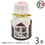 球美のらー油 100g×3本 アグリット久米島 沖縄 調味料 定番 土産 ビタミン カプサイシン