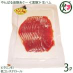 やんばる島豚あぐー 黒豚 生ハム 100g×3P フレッシュミートがなは 沖縄 アグー あぐー