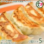 ショッピングギョウザ ギフト 山原豚(琉美豚) 白豚ギョウザ 12個入り×5P フレッシュミートがなは 沖縄 土産 アグー 貴重 肉 ビタミンB1