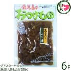 Yahoo! Yahoo!ショッピング(ヤフー ショッピング)生姜入り 山川漬 140g×6袋 ふじさき漬物舗 鹿児島県 人気 伝統製法 カメ壺仕込み 南九州産千切り生姜 ジアスターゼ含有 胸焼け