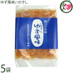 ゆず風味いかさし 100g×5袋 はるか
