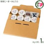 琉球じーまーみとうふ 63g×10個入 ハ