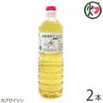 唐辛子 (コーレーグース) 1000ml×2本 比嘉製茶 沖縄 定番 人気 調味料 トウガラシ 送料無料