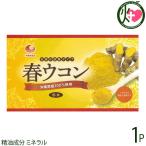 春ウコン粉 (袋入) 100g×1袋 比嘉製茶