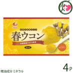 春ウコン粉 (袋入) 100g×4袋 比嘉製茶