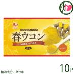 春ウコン粉 (袋入) 100g×10袋 比嘉製