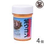 紫ウコン粉 容器入 100g×4個 精油成