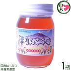 国産りんごはちみつ 瓶入り 500g×1瓶 荻原養蜂園 国産養蜂 長野県 信州 人気 土産 国産はちみつ 栄養素豊富 ご自宅用に