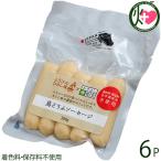 島どうふソーセージ プレーン 100g×6P ひろし屋食品 沖縄 土産 沖縄県産豆腐 沖縄県産鶏むね肉使用 ソーセージ 着色料・保存料不使用