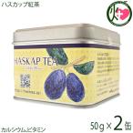 ハスカップ紅茶 角缶 50g×2缶 はすかっぷサービス 苫小牧市特産品認定 果汁入りフレーバーティー