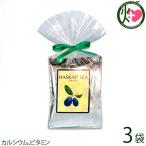 ハスカップ紅茶ラッピング 2g×8P×3袋 はすかっぷサービス 北海道 土産 苫小牧市特産品認定 果汁入りフレーバーティー カルシウム ビタミン