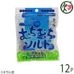 むちむちソルト 37g×12袋 黒糖