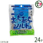 むちむちソルト 37g×24袋 黒糖
