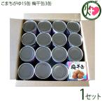 梅干缶 紀州南高梅 80g