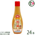 糀の糖 380g×24本 条件付 沖縄 専門店 麹 健康 美容 砂糖不使用 条件付き送料無料
