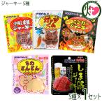 オキハムジャーキーミニ5種セレクト 沖縄ハム総合食品 沖縄 人気 定番 おつまみ