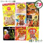 ショッピングミニジャーキー オキハムジャーキーミニ8種セレクト×1セット 沖縄ハム総合食品 沖縄 人気 定番 おつまみ 珍味