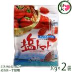 ショッピングぬちまーす 塩トマト 30g×2P 沖縄美健販売 ドライトマト ミネラル補給 リコピン 沖縄土産 沖縄 人気