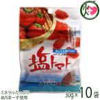ショッピングぬちまーす 塩トマト 30g×10P 沖縄美健販売 ドライトマト ミネラル補給 リコピン 沖縄土産 沖縄 人気