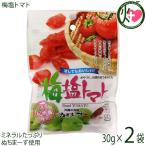 ショッピングぬちまーす 梅塩トマト 30g×2P 沖縄美健販売 ドライトマト 人気 お土産沖縄のミネラルたっぷり塩・ぬちまーすと紀州梅を使用