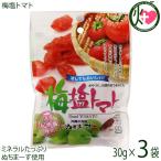 ショッピングぬちまーす 梅塩トマト 30g×3P 沖縄美健販売 ドライトマト 人気 お土産沖縄のミネラルたっぷり塩・ぬちまーすと紀州梅を使用