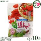 ショッピングぬちまーす 梅塩トマト 30g×10P 沖縄美健販売 ドライトマト 人気 お土産沖縄のミネラルたっぷり塩・ぬちまーすと紀州梅を使用