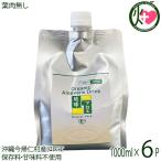 琉球アロエパウチ 葉肉無し 1000ml×6P 琉球アロエ 沖縄県産 アロエベラ ジュース ストレート 甘味料・保存料不使用 沖縄産アロエ使用