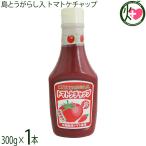 島とうがらし入り トマトケチャップ 300g×1本 琉球フロント