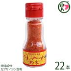 琉球薬味 こーれーぐーす粉末14g×22本 真常 沖縄県 人気 定番 お土産 調味料 唐辛子 辛味成分 カプサイシン含有 送料無料