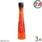 琉球薬味 島とうがらしとにんにく入り あきさみよー辣油 110g×3本 真常 沖縄 土産 人気 定番 調味料 唐辛子 カプサイシン ダイエット