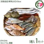 淡路島産 鮮魚 獲れたて5種お任せbox 太刀魚 アジ 小鯛 イシモチ ホウボウ ヒイカ 穴子 赤舌ヒラメ カワハギ EPA・DHA カルシウム 葉酸