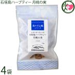 島のそよかぜ 石垣島ハーブティー �