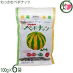 わっさむペポナッツ 100g×6袋 和寒シーズ 北海道 かぼちゃの種 ストライプペポ ナッツ 自然食品 国産 稀少 手作り